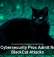 U.S. Cybersecurity Pros Admit Role in BlackCat Attacks